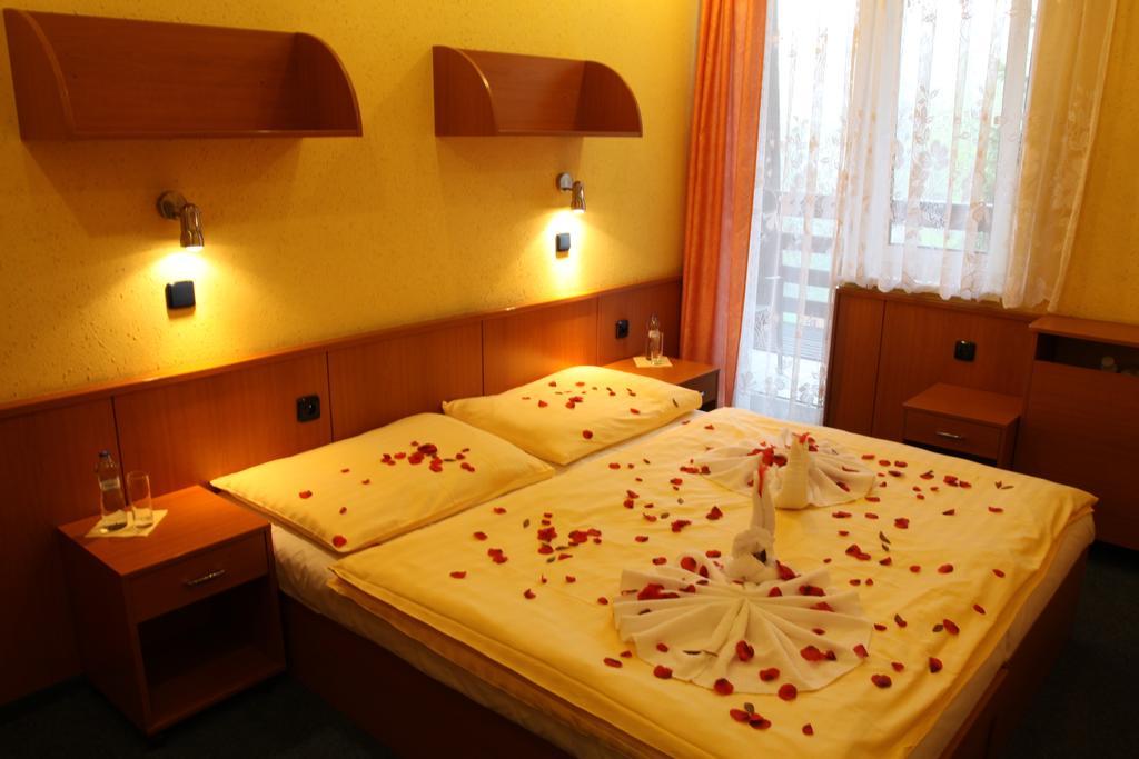 Hotel Odra 오스트라비체 객실 사진